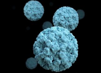 How Protect Yourself from a Norovirus Outbreak