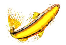 Omega Fish Oils Don’t Improve Reading or Memory Skills in School Children