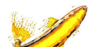Omega Fish Oils Don’t Improve Reading or Memory Skills in School Children