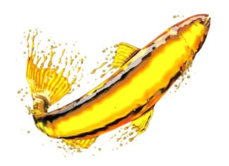 Omega Fish Oils Don’t Improve Reading or Memory Skills in School Children