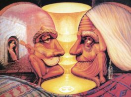 Optical Illusion Gives Insight Into How We Perceive the World