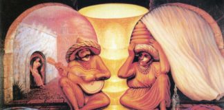 Optical Illusion Gives Insight Into How We Perceive the World