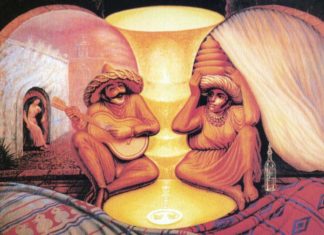 Optical Illusion Gives Insight Into How We Perceive the World