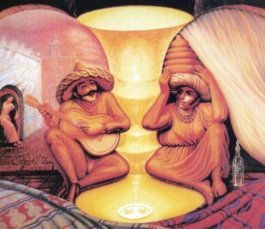 Optical Illusion Gives Insight Into How We Perceive the World