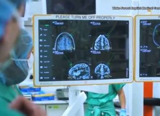Prosthetic Memory System Successful in Humans