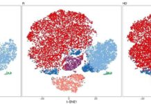 Researcher creates ‘Instagram’ of immune system, blending science, technology