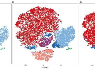 Researcher creates ‘Instagram’ of immune system, blending science, technology