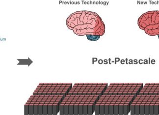 Researchers find algorithm for large-scale brain simulations