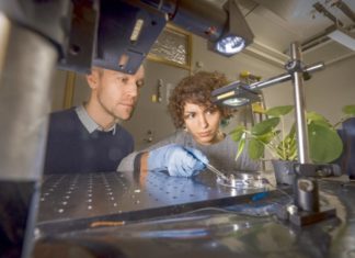 Researchers have developed a method and a material that generate an electrical impulse when the light fluctuates from sunshine to shade and vice versa