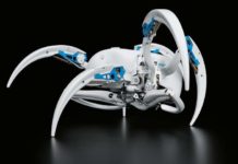 Robot takes cues from spider that can walk and roll