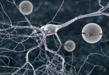 Scientists use nanotechnology to detect molecular biomarker for osteoarthritis