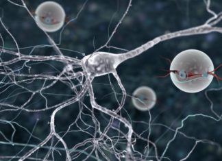 Scientists use nanotechnology to detect molecular biomarker for osteoarthritis