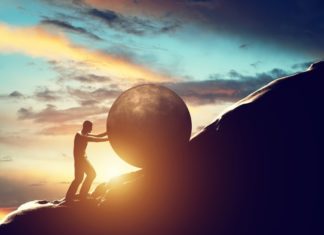 Serotonin Promotes Perseverance