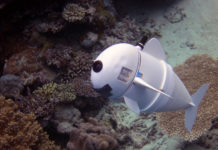 Soft robotic fish swims alongside real ones in coral reefs