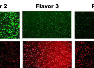 Some e-cigarette ingredients are surprisingly more toxic than others