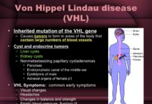 Study sheds new light on Von Hippel-Lindau syndrome