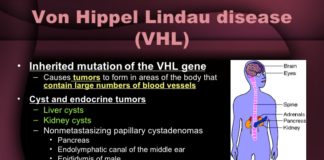 Study sheds new light on Von Hippel-Lindau syndrome