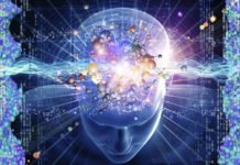The Brain Learns Completely Differently that We’ve Assumed Since the 20th Century