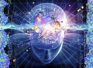 The Brain Learns Completely Differently that We’ve Assumed Since the 20th Century