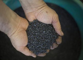 Israeli : how turn garbage into plastic gold