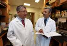 Unique inflammation patterns emerging in patients with type 1 diabetes