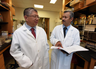 Unique inflammation patterns emerging in patients with type 1 diabetes