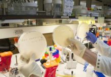 Virus found to adapt through newly discovered path of evolution