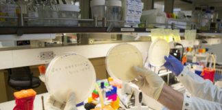 Virus found to adapt through newly discovered path of evolution