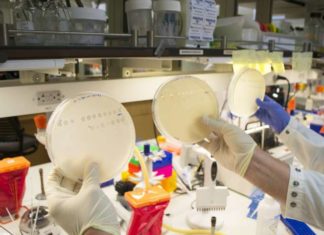 Virus found to adapt through newly discovered path of evolution