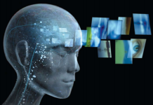 Researchers have found that very slow waves are directly linked to state of consciousness