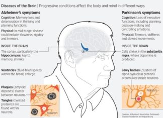 Domino Effect: Individual Damaged Neuron Types Cause Neurodegenerative Diseases