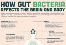 Understanding the factors that shape our microbiome may be key to understanding and treating many common health problems
