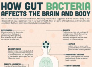 Understanding the factors that shape our microbiome may be key to understanding and treating many common health problems