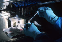Biomarkers and efficacy of vaccine responses among patients treated with new MS drug