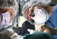 Brains, eyes, testes: off-limits for transplants?