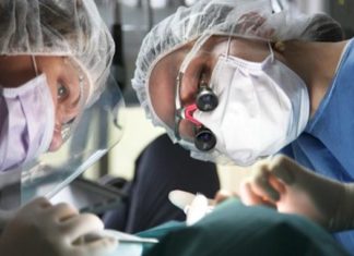 Brains, eyes, testes: off-limits for transplants?