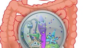 Can Microbes Manipulate Our Minds?
