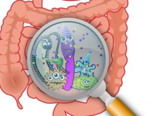 Can Microbes Manipulate Our Minds?
