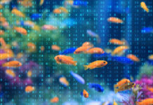Casino Gets Hacked Through Its Internet-Connected Fish Tank Thermometer