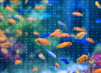 Casino Gets Hacked Through Its Internet-Connected Fish Tank Thermometer