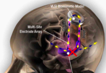 DARPA Funded Study Successfully Tests Prosthetic Memory Brain Implants