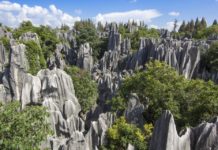 Discovered New source of global nitrogen