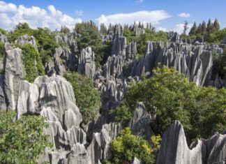 Discovered New source of global nitrogen