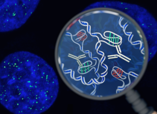 Found: A new form of DNA in our cells
