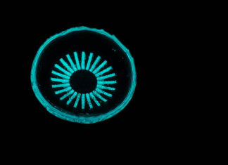 Glowing contact lens could prevent a leading cause of blindness
