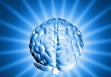 How Pleasure Affects Our Brains