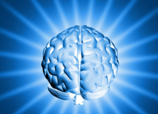 How Pleasure Affects Our Brains