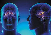 How to reprogram memory cells in the brain