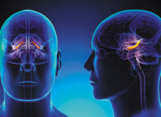 How to reprogram memory cells in the brain