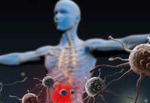 Immunological Memory in the Brain